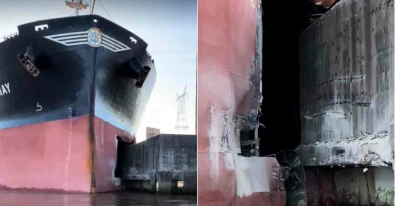 Bulk Carrier Collides With Bridge Pylon, Shutting Down Parana River Waterway