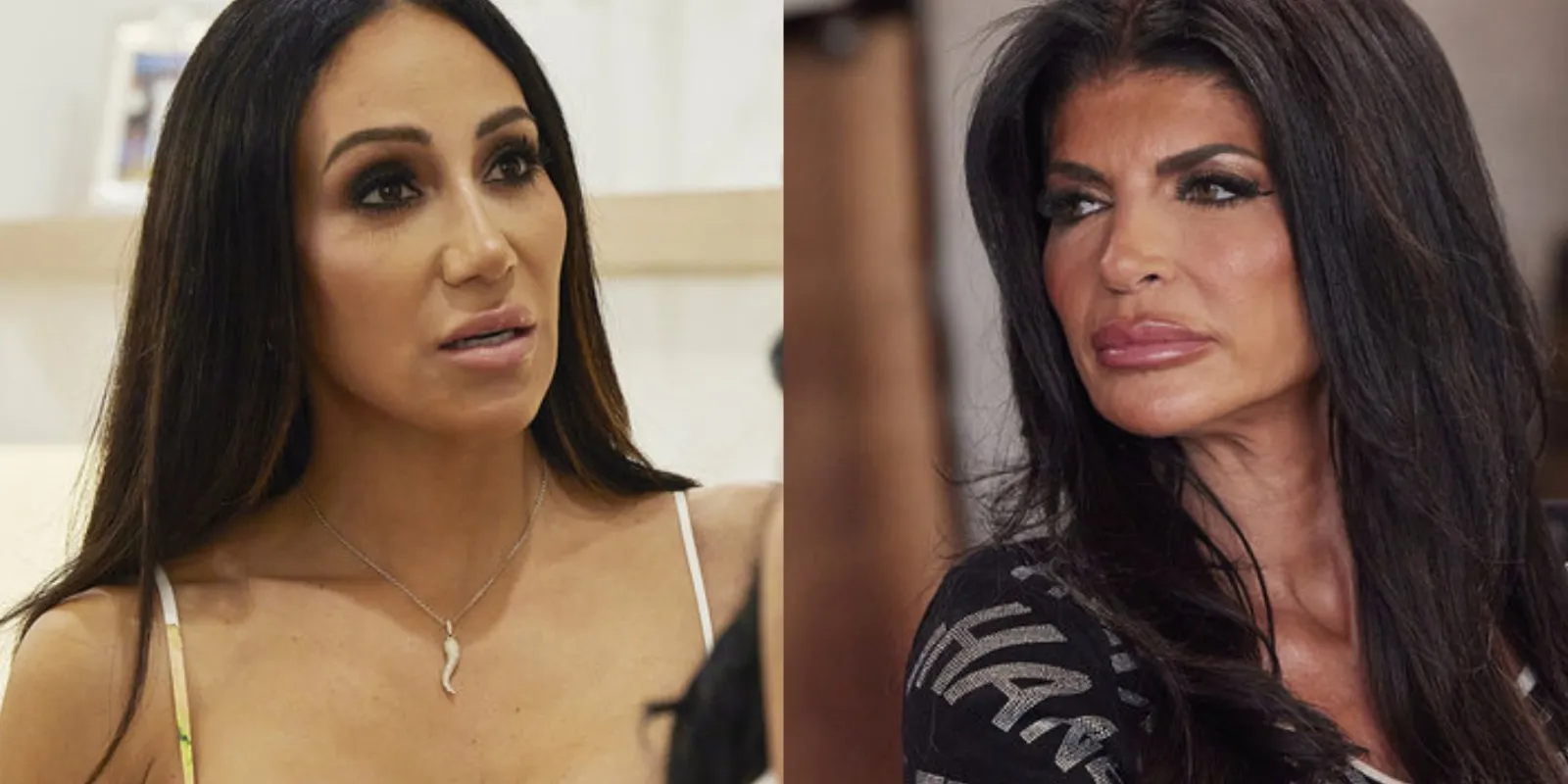 Melissa Gorga and Teresa Giudice of 'RHONJ'